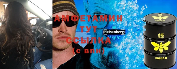 твердый Вяземский